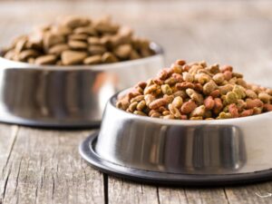 The Ultimate Guide to Your Local Pet Food Center