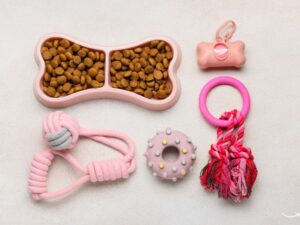 The Ultimate Guide to Pet Sitting: What You Need to Know