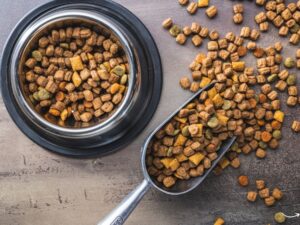 The Benefits and Basics of Organic Pet Food: A Comprehensive Guide