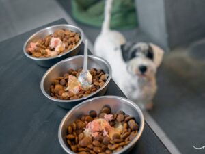 Pet Food Gone Wild: Unleashing the Best for Your Furry Friends