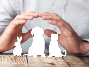 Everything You Need to Know About Montgomery County Animal Shelter: A Community Resource for Rescues and Adoptions