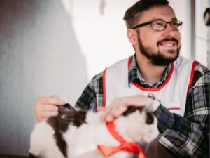 Best Friends Animal Hospital: Your Trusted Partner in Pet Care