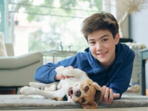 Why Hiring a Pet Sitter Is the Best Decision for Your Furry Friend