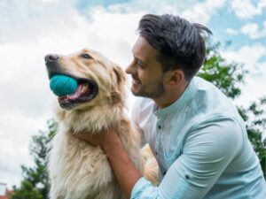 The Essential Guide to Animal Care Equipment and Services: Ensuring Optimal Well-being for Pets and Livestock
