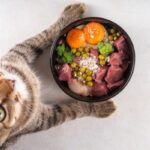 Raw food diet for cats