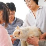 common pet behavioral issues