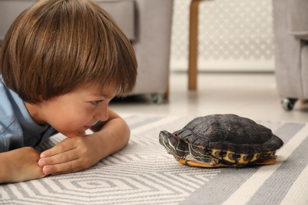 safe exotic pets for kids