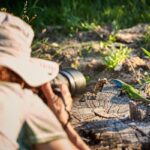 Wildlife photo tips