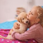 Animal-themed activities