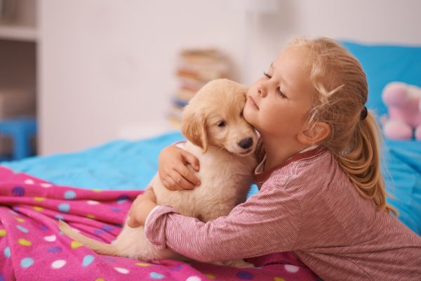 Animal-themed activities