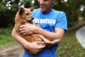 Best Volunteer Programs for Animal Lovers