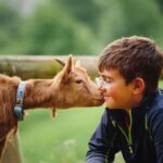 Farm animals for kids
