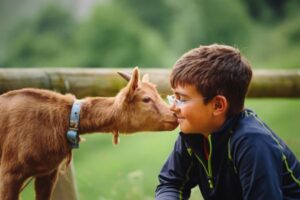 Farm Animals for Kids: Fun Facts & Activities