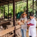 Veganism and animal welfare