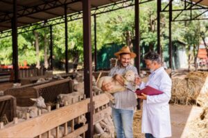 Veganism & Animal Welfare: Why They Matter Together