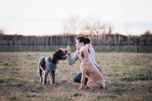 Force-Free Dog Training: A Beginner’s Guide to Positive Methods