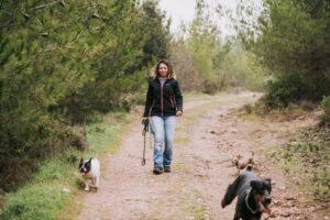 Recall Training for Dogs: How to Build a Reliable Off-Lead Recall