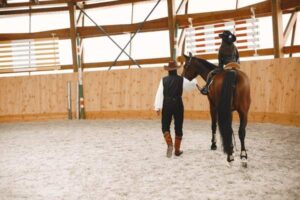 Horse Clipping Guide: Types, Timing and Aftercare